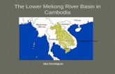 The Lower Mekong River Basin in Cambodia Mekong River Basin Cambodia Sky Dominguez.