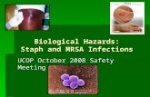 Biological Hazards: Staph and MRSA Infections UCOP October 2008 Safety Meeting.