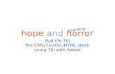 Hope and horror real-life TEI the CMS/TEI/XSL/HTML stack using TEI with Sobek avoiding.