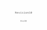 Revision10 Bio3B. Structure of the exam paper Section One - Multiple-choice – 20 questions – 40 marks Answer all questions, using a blue or black pen,