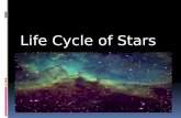 Life Cycle of Stars. Life Cycle of Stars The path a star takes over its lifetime depends solely on its MASS!!