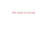 The study of sounds. The sounds of spoken English do not match up, a lot of the time, with letters of written English. If we cannot use the letters of.