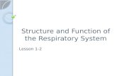 Structure and Function of the Respiratory System Lesson 1-2.