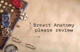 Breast Anatomy please review. Macroscopic anatomy  Conventional partition  4 quadrants  Areola  Axillary part  Inframamary fold.