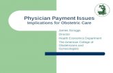 Physician Payment Issues Implications for Obstetric Care James Scroggs Director Health Economics Department The American College of Obstetricians and Gynecologists.
