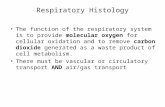 Respiratory Histology The function of the respiratory system is to provide molecular oxygen for cellular oxidation and to remove carbon dioxide generated.