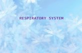 RESPIRATORY SYSTEM. The respiratory system helps meet the metabolic needs of the body by bringing oxygen into the bloodstream where it can be transported.