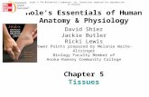 Hole’s Essentials of Human Anatomy & Physiology David Shier Jackie Butler Ricki Lewis Power Points prepared by Melanie Waite-Altringer Biology Faculty.
