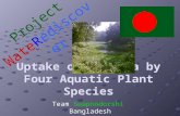 Uptake of Ammonia by Four Aquatic Plant Species Project Wate R ediscover Team Swapnodorshi Bangladesh.