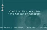 Courtney Collins. Jason Ideker. Gayle Willis. Jessica Hurst Alkali-Silica Reaction: “The Cancer of Concrete”