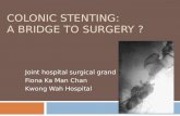 COLONIC STENTING: A BRIDGE TO SURGERY ? Joint hospital surgical grand round Fiona Ka Man Chan Kwong Wah Hospital.