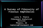 A Survey of Fibrosity of Fibrous Amphiboles Larry S. Pierce Fiberquant Analytical Services Phoenix, AZ lspierce@fiberquant.com.