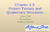 Chapter 4.3: Protein Tertiary and Quaternary Structures CHEM 7784 Biochemistry Professor Bensley.