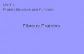 Fibrous Proteins UNIT I: Protein Structure and Function.