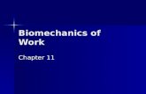 Biomechanics of Work Chapter 11. NIOSH Report & Others 500,000 workers suffer overexertion injuries each year 500,000 workers suffer overexertion injuries.