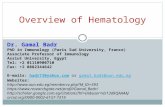 Overview of Hematology Dr. Gamal Badr PhD in Immunology (Paris Sud University, France) Associate Professor of Immunology Assiut University, Egypt Tel: