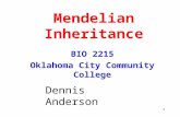 1 Mendelian Inheritance BIO 2215 Oklahoma City Community College Dennis Anderson.