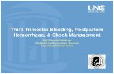 Third Trimester Bleeding, Postpartum Hemorrhage, & Shock Management UNC School of Medicine Obstetrics and Gynecology Clerkship Case Based Seminar Series.