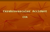 Cerebrovascular Accident CVA. Cerebrovascular Accident  Results from ischemia to a part of the brain or hemorrhage into the brain that results in death.