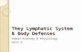They Lymphatic System & Body Defenses Human Anatomy & Physiology Unit 6.
