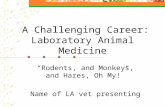 A Challenging Career: Laboratory Animal Medicine “Rodents, and Monkeys, and Hares, Oh My!” Name of LA vet presenting.