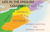 LIFE IN THE ENGLISH COLONIES DIFFERENT LIFESTYLES FOR DIFFERENT REGIONS.