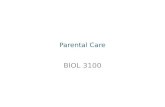 Parental Care BIOL 3100. 1)The evolution of Parental Care 2)When to provide care.