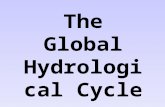 The Global Hydrological Cycle. Inputs: Precipitation (eg. Rain, hail, snow, sleet, dew, fog) Flows: Throughflow, Groundwater Flow, Overland Flow.