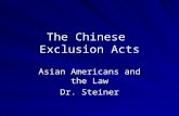 The Chinese Exclusion Acts Asian Americans and the Law Dr. Steiner.