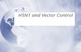 H5N1 and Vector Control. Change over time  1959-1998 (39 yrs)  23 million birds involved in avian flu outbreaks  1999-2005 (6 yrs)  >500 million birds.