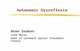 Autonomic Dysreflexia Anne Seaman Lead Nurse Duke of Cornwall Spinal Treatment Centre.