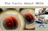 The Facts About MRSA. What is MRSA? Staphylococcus aureus or “staph” bacteria commonly live on the skin and in noses of healthy people  Usually staph.