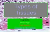 Types of Tissues Highlight: Headings Vocabulary Important Information.