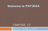 CHAPTER 17 Electric Charge & Stuff A Slide Like This Every Day  Today we begin chapter 17 – Electric Charge, Coulombs Law and the Electric Field  There.