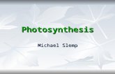 Photosynthesis Michael Slemp. BELL WORK Explain the difference between light dependent reactions to light independent reactions. Explain the difference.