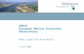 9 juni 2009 EMECO European Marine Ecosystem Observatory Remi Laane and Dave Mills.