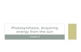 CHAPTER 6 PHOTOSYNTHESIS: ACQUIRING ENERGY FROM THE SUN.