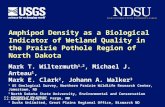 U.S. Department of the Interior U.S. Geological Survey Amphipod Density as a Biological Indicator of Wetland Quality in the Prairie Pothole Region of North.
