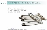 OCFO All Hands Safety Meeting Jeffrey A. Fernandez Chief Financial Officer November 19, 2008 Play it safe.