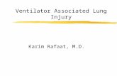Ventilator Associated Lung Injury Karim Rafaat, M.D.