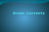 Vocabulary Ocean Current Coriolis Effect Rip Current Upwelling.