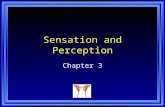 Sensation and Perception Chapter 3. Chapter 3 Learning Objective Menu LO 3.1 Sensation and how it enters central nervous system LO 3.2 How some sensations.