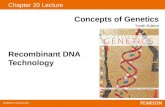 Chapter 20 Lecture Concepts of Genetics Tenth Edition Recombinant DNA Technology.