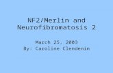 NF2/Merlin and Neurofibromatosis 2 March 25, 2003 By: Caroline Clendenin.