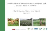 Lives baseline study report for Gamogofa and Sidama Zone in SNNPRS By Kettema Yilma and Yisak Baredo.