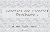 Messinger Genetics and Prenatal Development D. Messinger, Ph.D.
