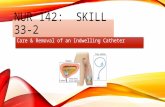 NUR 142: SKILL 33-2 Care & Removal of an Indwelling Catheter.