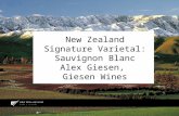 New Zealand Signature Varietal: Sauvignon Blanc Alex Giesen, Giesen Wines.