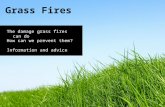 Information and advice Grass Fires The damage grass fires can do How can we prevent them?