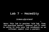 Lab 7 – Heredity Is there a fly in here? Note: This lab is another “old lab” from the previous manual, however you’ll need to write it into your lab notebooks.